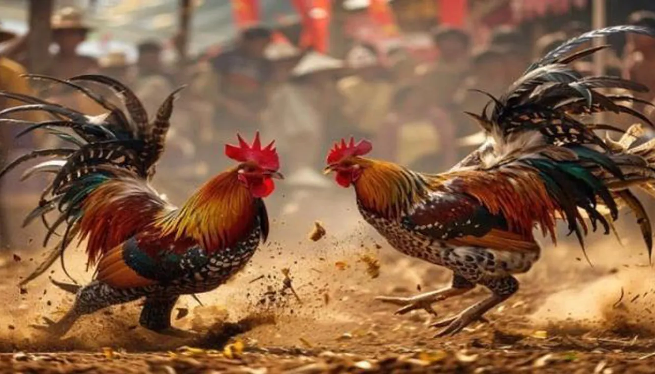 Variety of Casino Games at Ninong Gaming